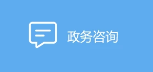 政務咨詢